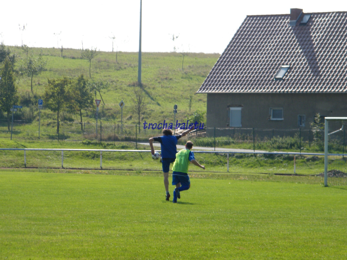 motýl.